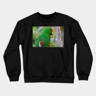 Parrot Crewneck Sweatshirt